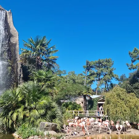 Charmante Maison Avec Piscine Σπίτι διακοπών